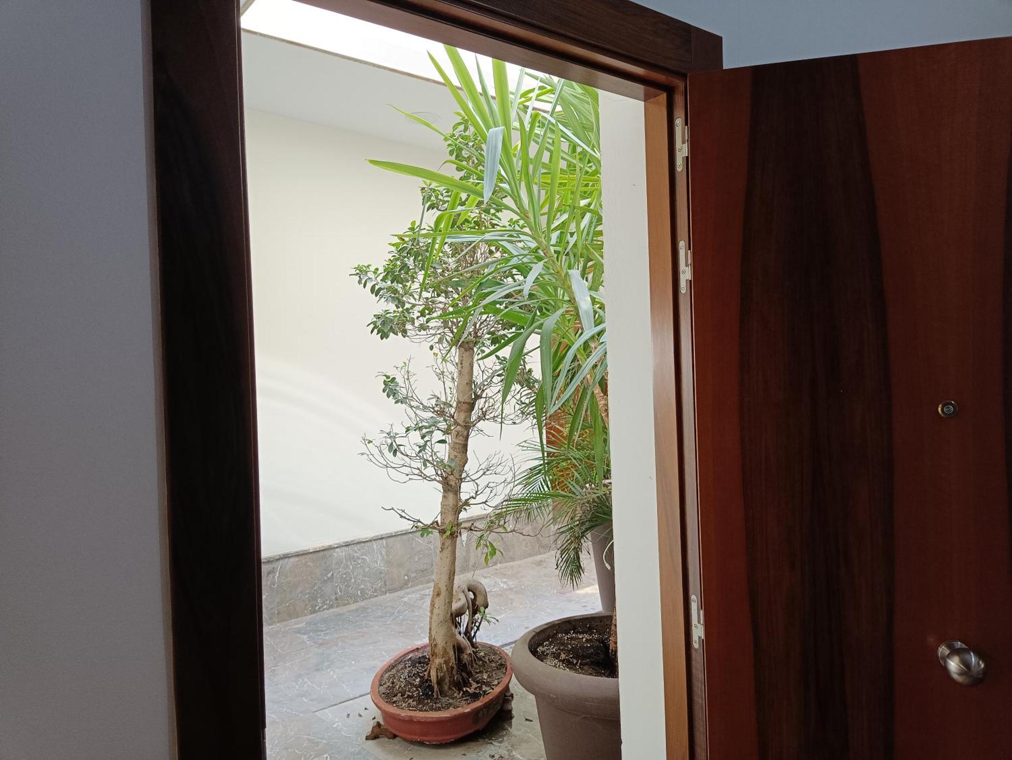 Apartamentos Luxury Puente de Triana Sevilla Exterior foto